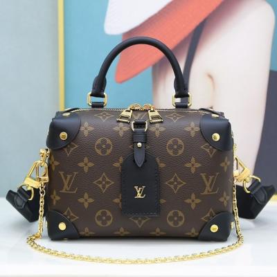 Petite malle aouple M45571